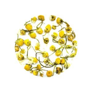Chamomile